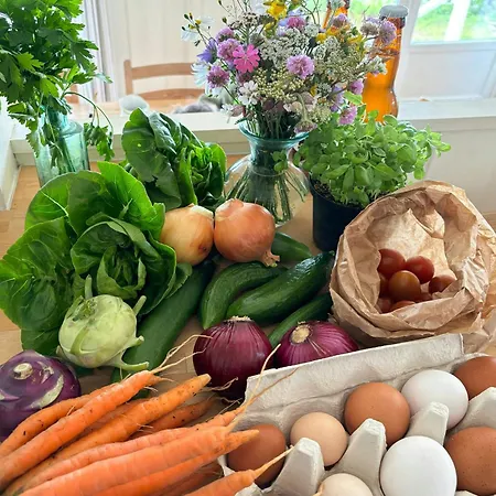 度假居 Summer With Sunrise Over Oslo Fjord Tofte
