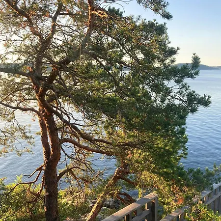 Summer With Sunrise Over Oslo Fjord